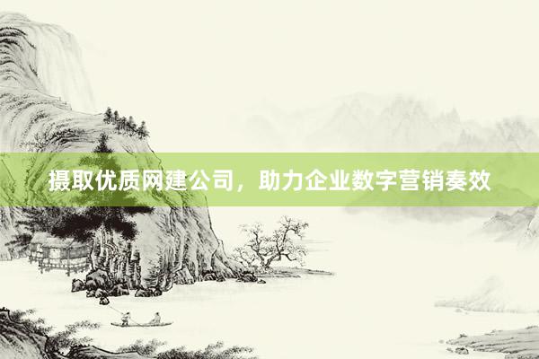摄取优质网建公司，助力企业数字营销奏效