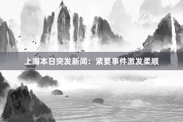 上海本日突发新闻：紧要事件激发柔顺
