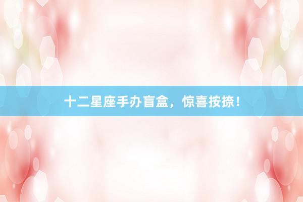 十二星座手办盲盒，惊喜按捺！